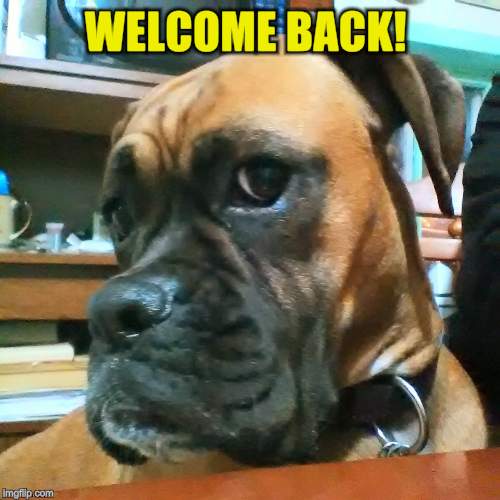 WELCOME BACK! | made w/ Imgflip meme maker