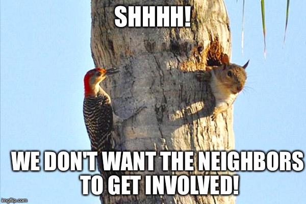 SHHHH! WE DON'T WANT THE NEIGHBORS TO GET INVOLVED! | made w/ Imgflip meme maker