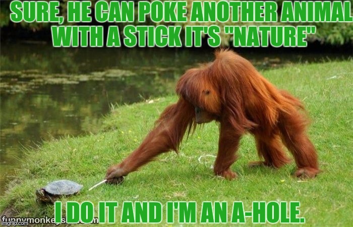 Poke poke poke | SURE, HE CAN POKE ANOTHER ANIMAL WITH A STICK IT'S "NATURE"; I DO IT AND I'M AN A-HOLE. | image tagged in memes,funny,monkey,sewmyeyesshut,pokemon | made w/ Imgflip meme maker