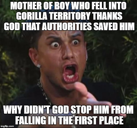 DJ Pauly D | MOTHER OF BOY WHO FELL INTO GORILLA TERRITORY THANKS GOD THAT AUTHORITIES SAVED HIM; WHY DIDN'T GOD STOP HIM FROM FALLING IN THE FIRST PLACE | image tagged in memes,dj pauly d | made w/ Imgflip meme maker