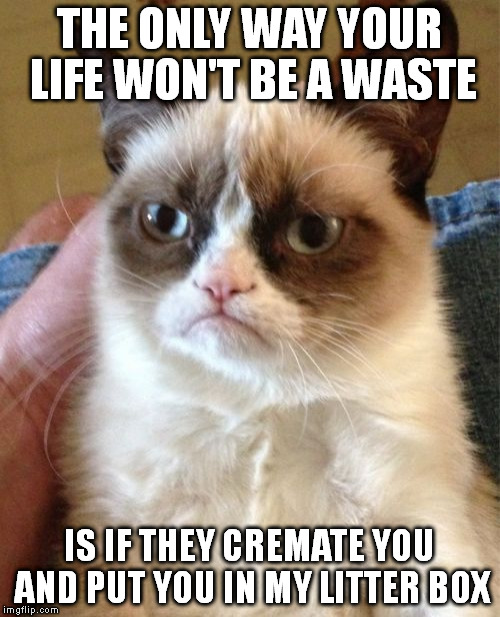 This come from an exchange with DashHopes | THE ONLY WAY YOUR LIFE WON'T BE A WASTE; IS IF THEY CREMATE YOU AND PUT YOU IN MY LITTER BOX | image tagged in memes,grumpy cat | made w/ Imgflip meme maker