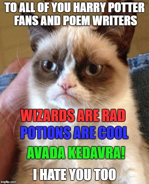 Grumpy Cat Meme | TO ALL OF YOU HARRY POTTER FANS AND POEM WRITERS; WIZARDS ARE RAD; POTIONS ARE COOL; AVADA KEDAVRA! I HATE YOU TOO | image tagged in memes,grumpy cat | made w/ Imgflip meme maker