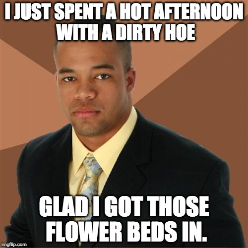 Successful Black Man | I JUST SPENT A HOT AFTERNOON WITH A DIRTY HOE; GLAD I GOT THOSE FLOWER BEDS IN. | image tagged in memes,successful black man | made w/ Imgflip meme maker