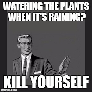 Kill Yourself Guy |  WATERING THE PLANTS WHEN IT'S RAINING? KILL YOURSELF | image tagged in memes,kill yourself guy | made w/ Imgflip meme maker