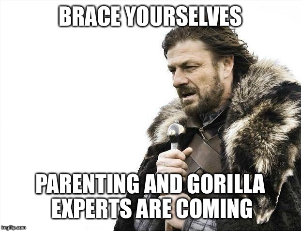 Brace Yourselves X is Coming | BRACE YOURSELVES; PARENTING AND GORILLA EXPERTS ARE COMING | image tagged in memes,brace yourselves x is coming | made w/ Imgflip meme maker