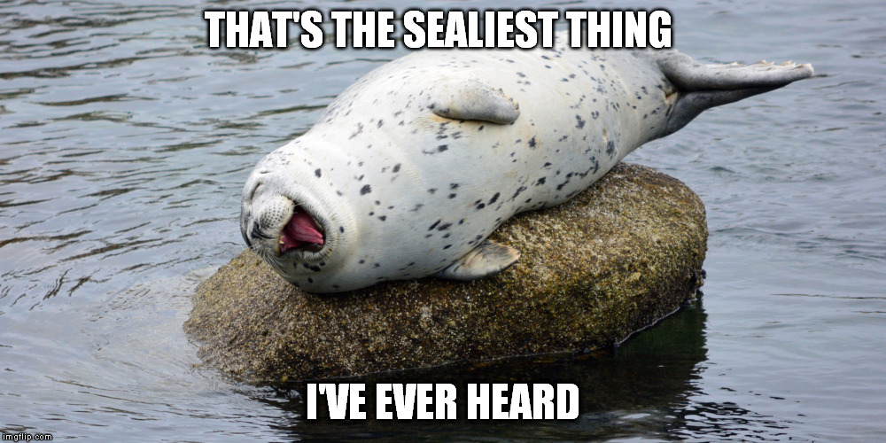 Laughing Seal | THAT'S THE SEALIEST THING; I'VE EVER HEARD | image tagged in seal,funny,funny memes,funny animals,laugh | made w/ Imgflip meme maker