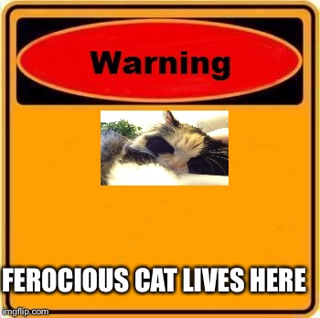 Warning Sign | FEROCIOUS CAT LIVES HERE | image tagged in memes,warning sign | made w/ Imgflip meme maker