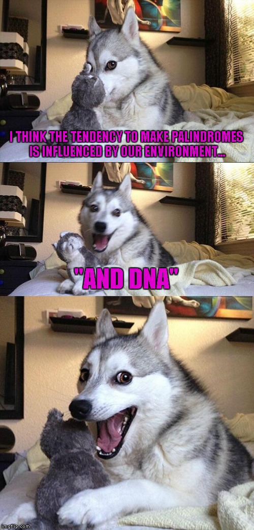 Bad Pun Dog Meme | I THINK THE TENDENCY TO MAKE PALINDROMES IS INFLUENCED BY OUR ENVIRONMENT... "AND DNA" | image tagged in memes,bad pun dog | made w/ Imgflip meme maker