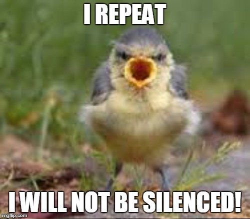 I REPEAT I WILL NOT BE SILENCED! | made w/ Imgflip meme maker