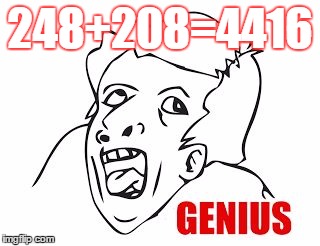 Genius  | 248+208=4416 | image tagged in genius | made w/ Imgflip meme maker