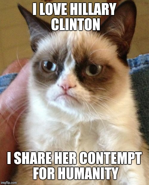 Grump Cat's political analysis | I LOVE HILLARY CLINTON; I SHARE HER CONTEMPT FOR HUMANITY | image tagged in memes,grumpy cat,clinton | made w/ Imgflip meme maker