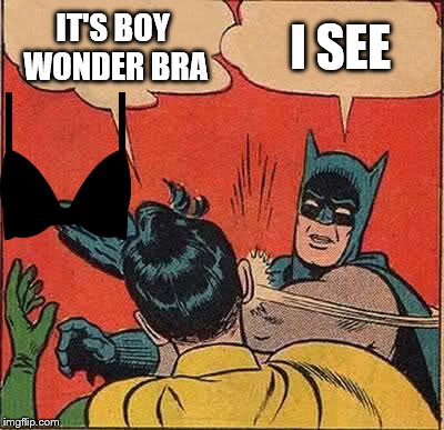 Batman Slapping Robin Meme | IT'S BOY WONDER BRA I SEE | image tagged in memes,batman slapping robin | made w/ Imgflip meme maker