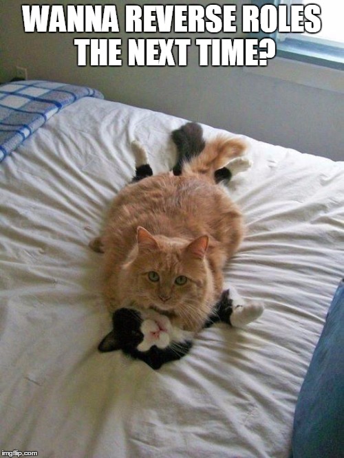 funny cats | WANNA REVERSE ROLES THE NEXT TIME? | image tagged in funny cats | made w/ Imgflip meme maker