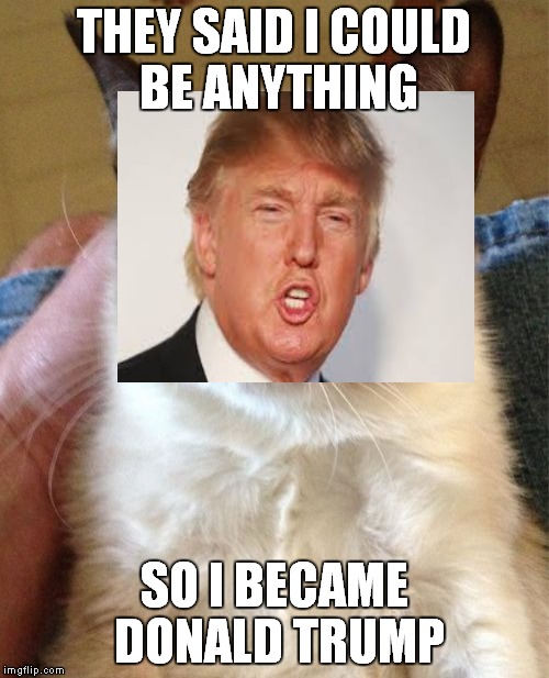 Grumpy Cat Meme | THEY SAID I COULD BE ANYTHING; SO I BECAME DONALD TRUMP | image tagged in memes,grumpy cat | made w/ Imgflip meme maker