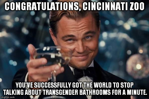 Leonardo Dicaprio Cheers | CONGRATULATIONS, CINCINNATI ZOO; YOU'VE SUCCESSFULLY GOT THE WORLD TO STOP TALKING ABOUT TRANSGENDER BATHROOMS FOR A MINUTE. | image tagged in memes,leonardo dicaprio cheers | made w/ Imgflip meme maker