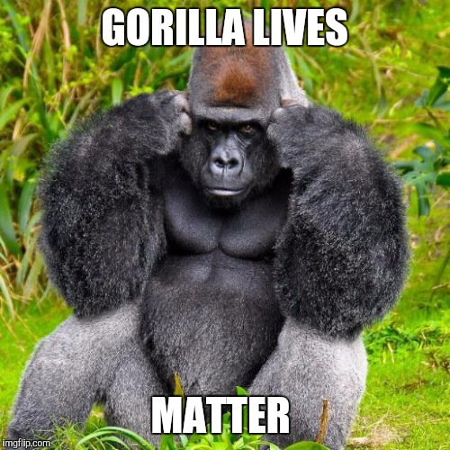 I could honestly care less about this subject but figure i would get to it first  | GORILLA LIVES; MATTER | image tagged in gorilla headache | made w/ Imgflip meme maker