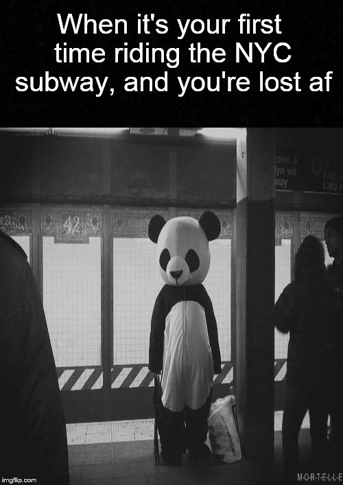 Lost in NYC.... | When it's your first time riding the NYC subway, and you're lost af | image tagged in funny memes,panda,subway,new york city,lost,memes | made w/ Imgflip meme maker