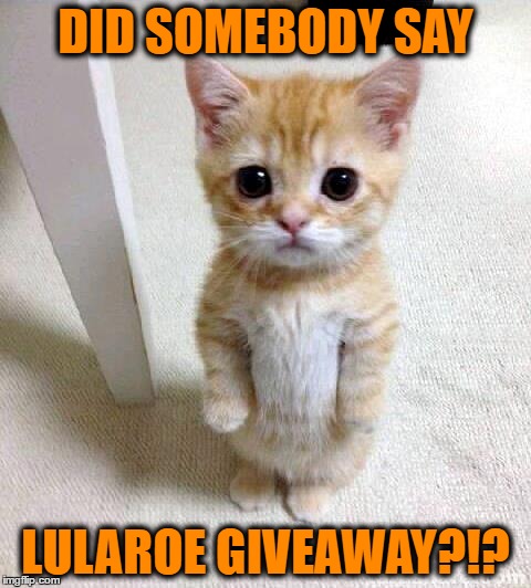 Cute Cat Meme | DID SOMEBODY SAY; LULAROE GIVEAWAY?!? | image tagged in memes,cute cat | made w/ Imgflip meme maker