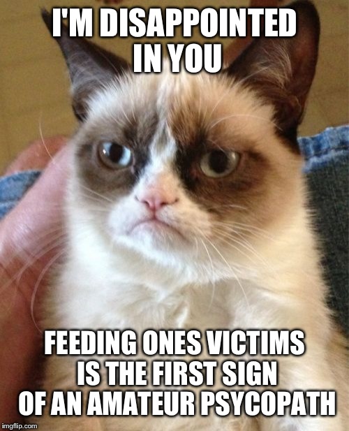 Grumpy Cat Meme | I'M DISAPPOINTED IN YOU FEEDING ONES VICTIMS IS THE FIRST SIGN OF AN AMATEUR PSYCOPATH | image tagged in memes,grumpy cat | made w/ Imgflip meme maker