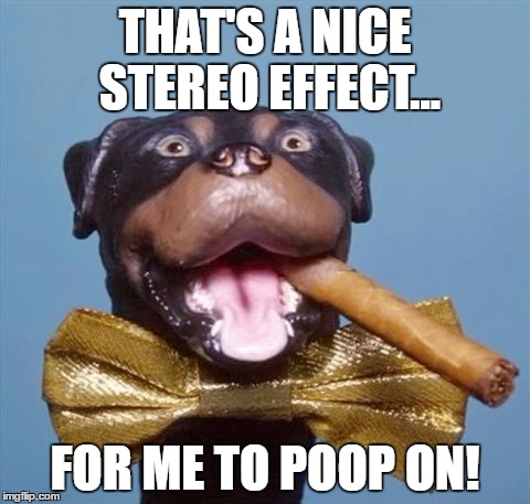 Triumph the Insult Comic Dog | THAT'S A NICE STEREO EFFECT... FOR ME TO POOP ON! | image tagged in triumph the insult comic dog | made w/ Imgflip meme maker