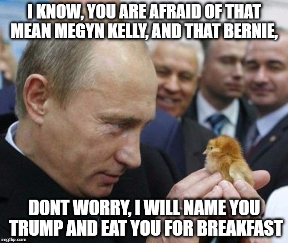 Chicken Trump | I KNOW, YOU ARE AFRAID OF THAT MEAN MEGYN KELLY, AND THAT BERNIE, DONT WORRY, I WILL NAME YOU TRUMP AND EAT YOU FOR BREAKFAST | image tagged in donald trump | made w/ Imgflip meme maker