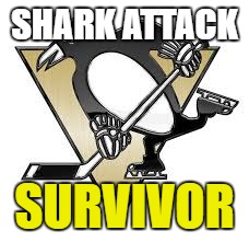 penguins shark attack | SHARK ATTACK; SURVIVOR | image tagged in penguins | made w/ Imgflip meme maker