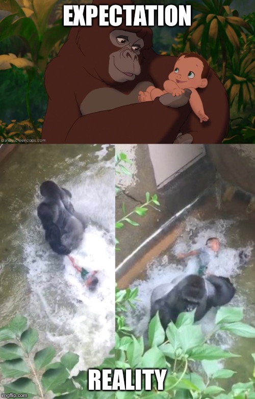 Tarzan | EXPECTATION; REALITY | image tagged in gorilla | made w/ Imgflip meme maker