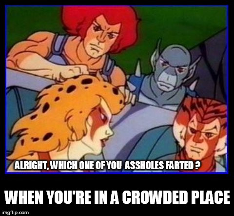 THUNDERFARTS | WHEN YOU'RE IN A CROWDED PLACE; ALRIGHT, WHICH ONE OF YOU  ASSHOLES FARTED ? | image tagged in cats,thunder,fart,farts | made w/ Imgflip meme maker