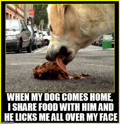 dogpoo | WHEN MY DOG COMES HOME, I SHARE FOOD WITH HIM AND HE LICKS ME ALL OVER MY FACE | image tagged in dog,poop,shit,doge,ohshit,dog poop | made w/ Imgflip meme maker
