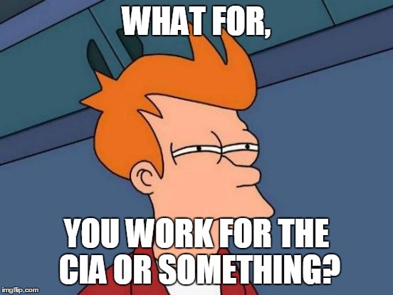 Futurama Fry Meme | WHAT FOR, YOU WORK FOR THE CIA OR SOMETHING? | image tagged in memes,futurama fry | made w/ Imgflip meme maker
