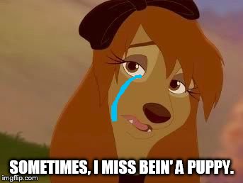 Sometimes, I Miss Bein' A Puppy | SOMETIMES, I MISS BEIN' A PUPPY. | image tagged in dixie melancholy,memes,disney,the fox and the hound 2,reba mcentire,crying dog | made w/ Imgflip meme maker