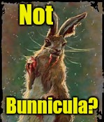 Not Bunnicula? | made w/ Imgflip meme maker