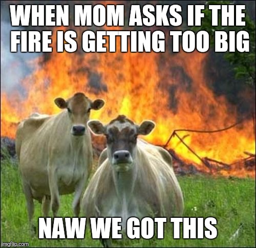 Evil Cows | WHEN MOM ASKS IF THE FIRE IS GETTING TOO BIG; NAW WE GOT THIS | image tagged in memes,evil cows | made w/ Imgflip meme maker