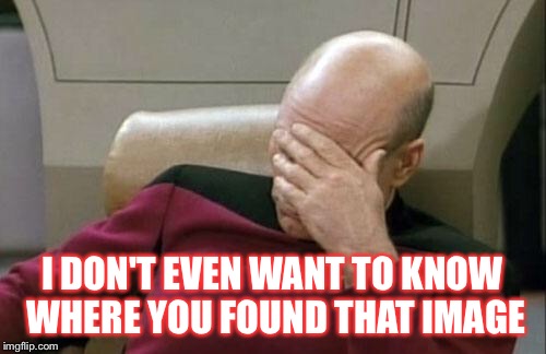 Captain Picard Facepalm Meme | I DON'T EVEN WANT TO KNOW WHERE YOU FOUND THAT IMAGE | image tagged in memes,captain picard facepalm | made w/ Imgflip meme maker