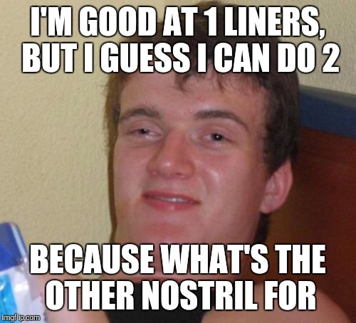 I thought this joke was my best joke when I thought it up, hope you like it too. | I'M GOOD AT 1 LINERS, BUT I GUESS I CAN DO 2; BECAUSE WHAT'S THE OTHER NOSTRIL FOR | image tagged in memes,10 guy,joke | made w/ Imgflip meme maker