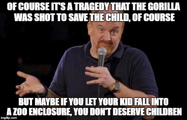 Louis ck but maybe | OF COURSE IT'S A TRAGEDY THAT THE GORILLA WAS SHOT TO SAVE THE CHILD, OF COURSE; BUT MAYBE IF YOU LET YOUR KID FALL INTO A ZOO ENCLOSURE, YOU DON'T DESERVE CHILDREN | image tagged in louis ck but maybe,AdviceAnimals | made w/ Imgflip meme maker