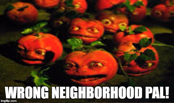 WRONG NEIGHBORHOOD PAL! | made w/ Imgflip meme maker