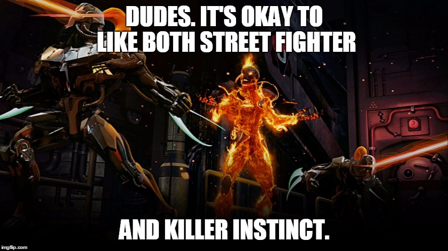 Cinder Tries To Explain | DUDES. IT'S OKAY TO LIKE BOTH STREET FIGHTER; AND KILLER INSTINCT. | image tagged in cinder tries to explain | made w/ Imgflip meme maker