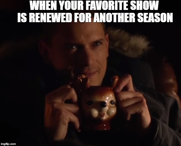 WHEN YOUR FAVORITE SHOW IS RENEWED FOR ANOTHER SEASON | image tagged in theflash | made w/ Imgflip meme maker