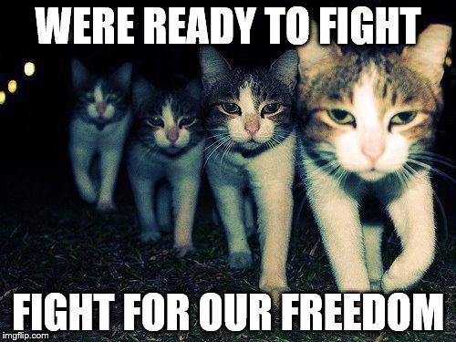 Wrong Neighboorhood Cats Meme | WERE READY TO FIGHT; FIGHT FOR OUR FREEDOM | image tagged in memes,wrong neighboorhood cats | made w/ Imgflip meme maker