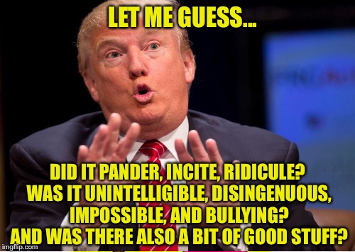 LET ME GUESS... DID IT PANDER, INCITE, RIDICULE? WAS IT UNINTELLIGIBLE, DISINGENUOUS, IMPOSSIBLE, AND BULLYING? AND WAS THERE ALSO A BIT OF  | made w/ Imgflip meme maker