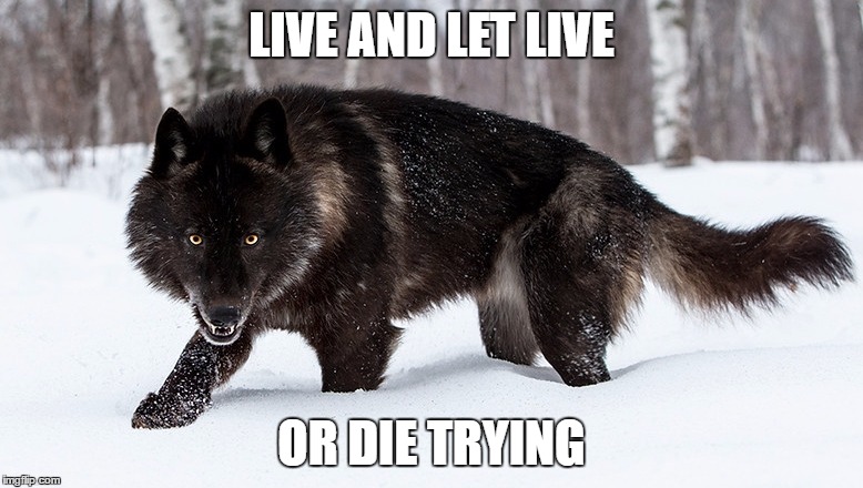LIVE AND LET LIVE; OR DIE TRYING | image tagged in dinnertime | made w/ Imgflip meme maker