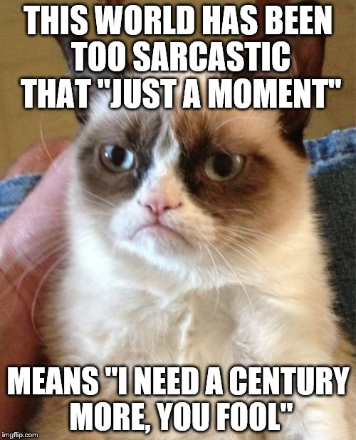 Grumpy Cat | THIS WORLD HAS BEEN TOO SARCASTIC THAT "JUST A MOMENT"; MEANS "I NEED A CENTURY MORE, YOU FOOL" | image tagged in memes,grumpy cat | made w/ Imgflip meme maker