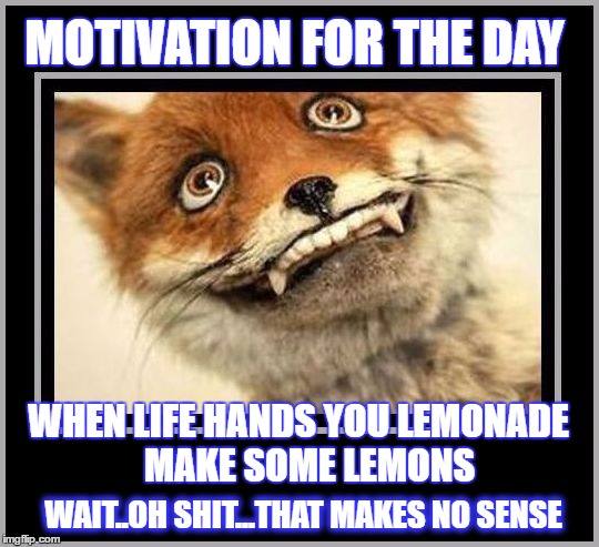 motivation?? | MOTIVATION FOR THE DAY; WHEN LIFE HANDS YOU LEMONADE   MAKE SOME LEMONS; WAIT..OH SHIT...THAT MAKES NO SENSE | image tagged in memes,motivational,confused | made w/ Imgflip meme maker