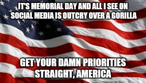 Really...? | IT'S MEMORIAL DAY AND ALL I SEE ON SOCIAL MEDIA IS OUTCRY OVER A GORILLA; GET YOUR DAMN PRIORITIES STRAIGHT, AMERICA | image tagged in america,gorilla,bitch please | made w/ Imgflip meme maker