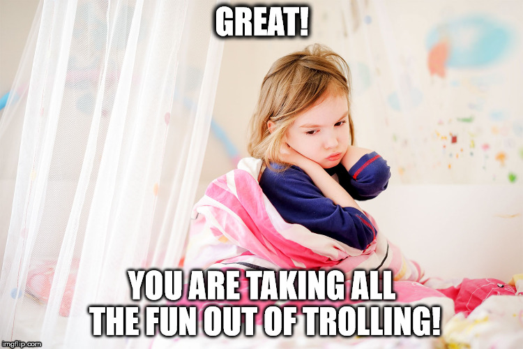 No Troll Zone | GREAT! YOU ARE TAKING ALL THE FUN OUT OF TROLLING! | image tagged in sadgirl,notrolling,nofun | made w/ Imgflip meme maker