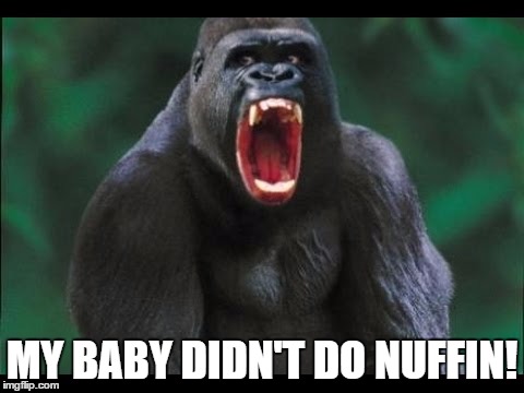 silverback gorilla | MY BABY DIDN'T DO NUFFIN! | image tagged in silverback gorilla | made w/ Imgflip meme maker