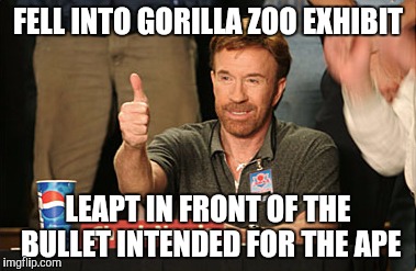 Chuck Norris Approves Meme | FELL INTO GORILLA ZOO EXHIBIT; LEAPT IN FRONT OF THE BULLET INTENDED FOR THE APE | image tagged in memes,chuck norris approves | made w/ Imgflip meme maker