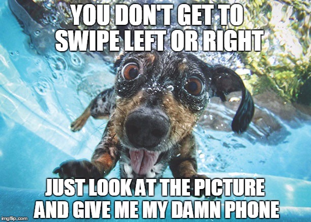 Dog | YOU DON'T GET TO SWIPE LEFT OR RIGHT; JUST LOOK AT THE PICTURE AND GIVE ME MY DAMN PHONE | image tagged in dog | made w/ Imgflip meme maker