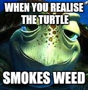 Finding Nemo turtle | WHEN YOU REALISE THE TURTLE; SMOKES WEED | image tagged in finding nemo turtle | made w/ Imgflip meme maker